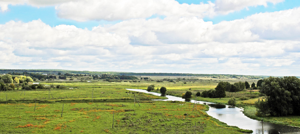 Місце впадіння р. Бужок у Південний Буг